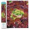 Diamond Dotz Succulents Diamond Painting Kits for Adults - Diamond Art Kits a Relaxing Creative Craft Kit with Dotz Gems 12.6x20.5